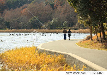 Winter date 13766026