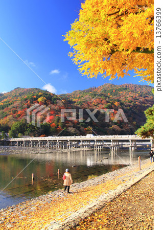 November Kyoto Arashiyama cross-bridge and autumn leaves 13766399