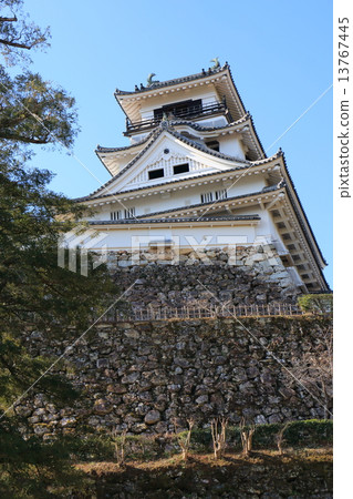 高知城堡在冬天 高知城堡在冬天 13767445