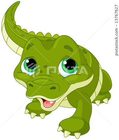 Baby alligator Baby alligator 13767627