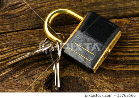 hinged lock 13768566