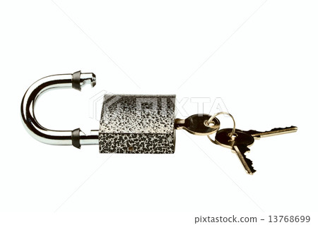 hinged lock 13768699