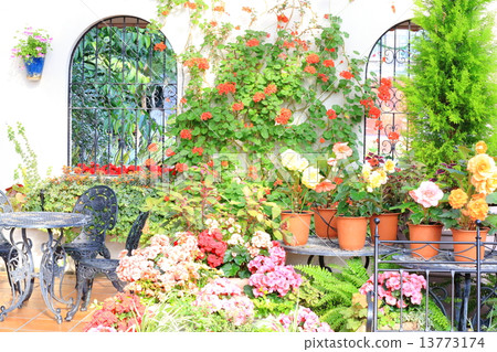 Flower Garden 13773174