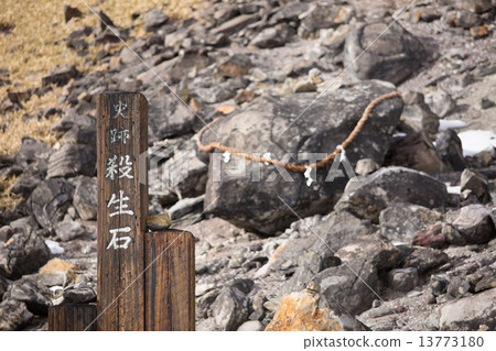 Nasu killing stone 13773180