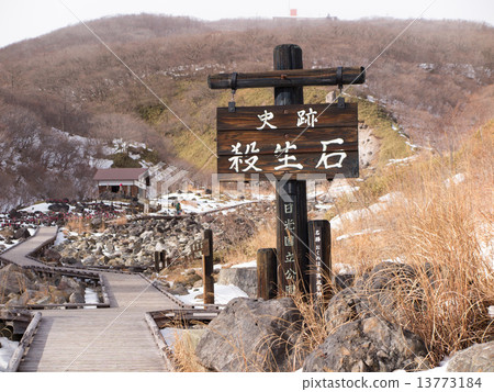 Nasu killing stone 13773184