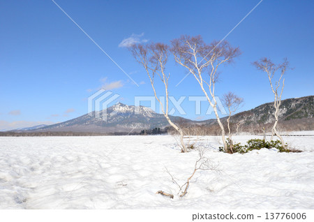 Ogasawara spreading on the snowy field Ogasawara spreading on the snowy field 13776006
