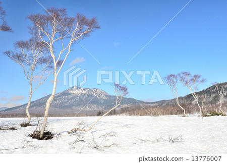 Snow scene of Ozegahara Snow scene of Ozegahara 13776007