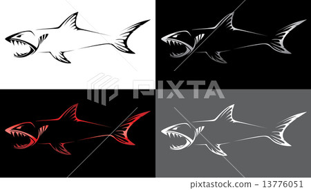 predatory fish skeleton 13776051