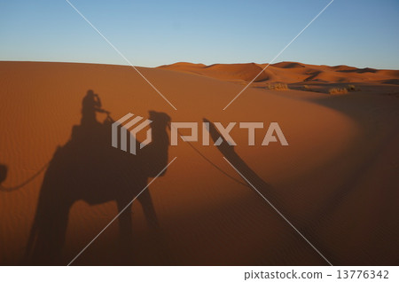 摩洛哥Merzouga 13776342