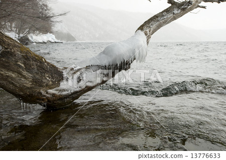 Freezing Towada Lake Freezing Towada Lake 13776633