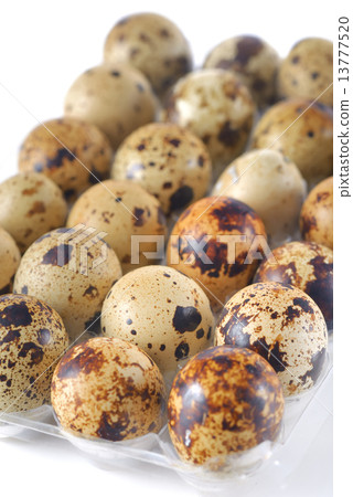 quail eggs quail eggs 13777520