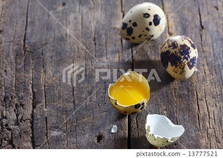 quail eggs quail eggs 13777521