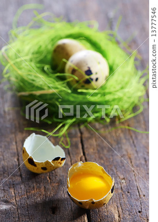 quail eggs quail eggs 13777546