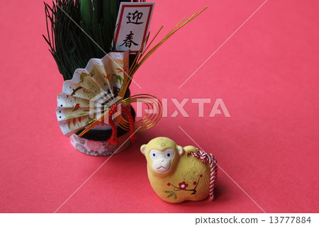 年份 13777884