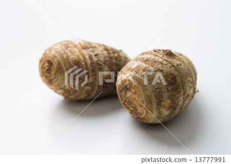 一點一點 一點一點 13777991