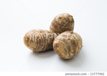 一點一點 一點一點 13777992