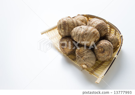 一點一點 一點一點 13777993