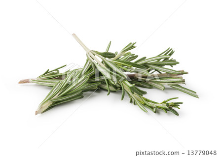 rosemary rosemary 13779048