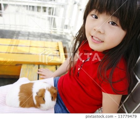 Guinea pig and girl 13779479