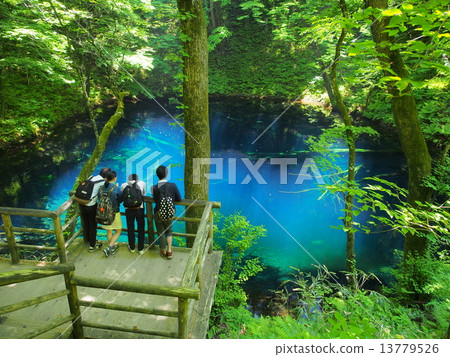 Fresh green Aoike 13779526