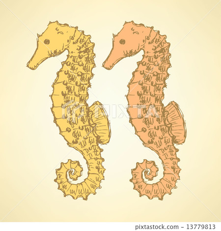 Sketch cute seahorse in vintage style Sketch cute seahorse in vintage style 13779813