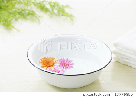 aroma aroma 13779890