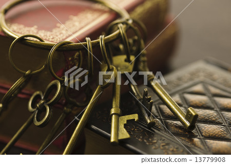 antique antique 13779908