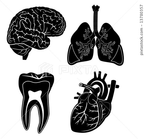 Vector medical icons 13780357