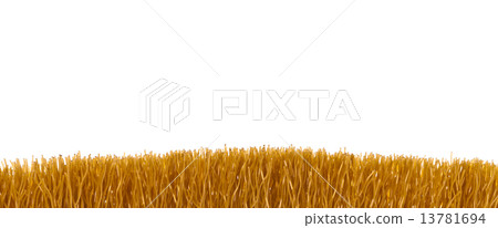 Brown fiber brush closeup isolated on white background 13781694