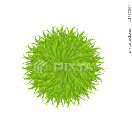 Spring grass circle shape isolated on white background 13785594