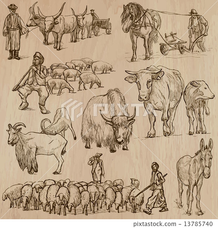 Farm animals. Hand drawn vector pack. - Stock Illustration [13785740 ...