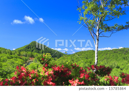 Akagi Shotokuyama 13785864