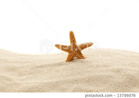 Summer image Summer image 13786076