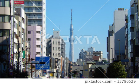 Sky tree visible from Kasuga-dori / Hongo three-chome nearby (sideways) Sky tree visible from Kasuga-dori / Hongo three-chome nearby (sideways) 13786529