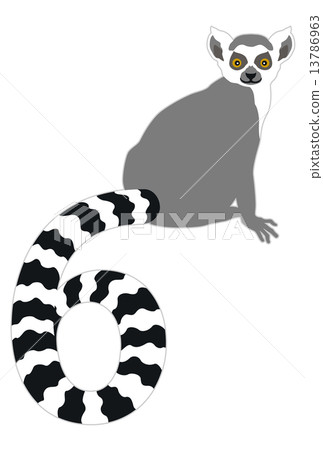 Wolverine lemur Wolverine lemur 13786963