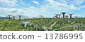 Gardens by the Bay, Singapore 13786995