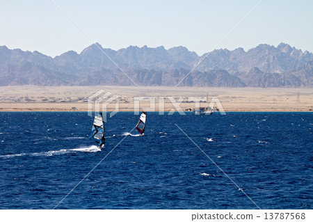 Silhouette of two windsurfers Silhouette of two windsurfers 13787568