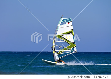 Windsurfer 13787575