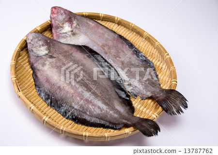 Babbagray 13787762