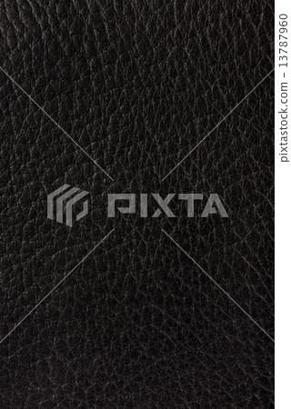 black leather texture background 13787960