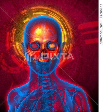 3d render medical illustration of the upper skull 13788133