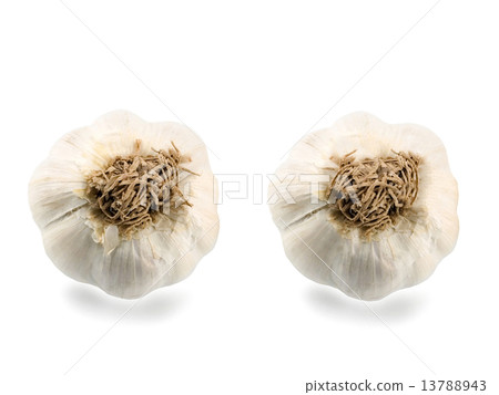 two garlic cloves 13788943