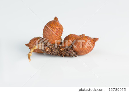 salak,sala (Zalacca edulis Reinw.) isolated on white background salak,sala (Zalacca edulis Reinw.) isolated on white background 13789955