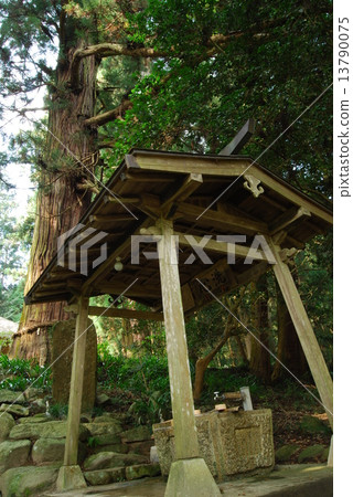 Katsurakuyama Kozoji 13790075