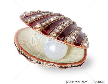 Pearl in a shell 13790680