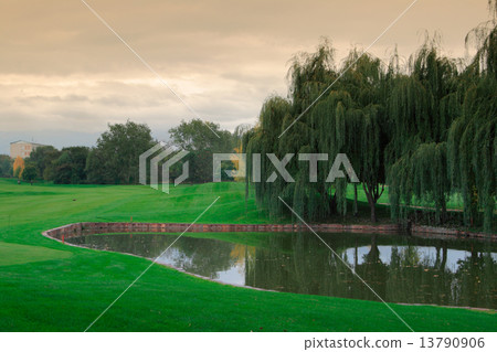 Landscape 13790906