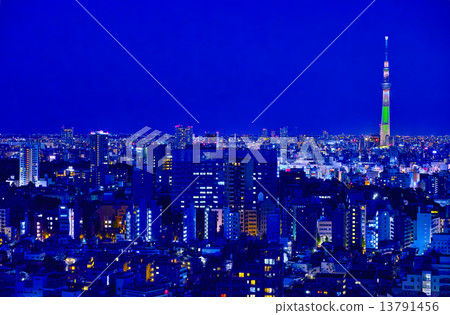 從東京台東區看的天空樹和夜視圖 13791456