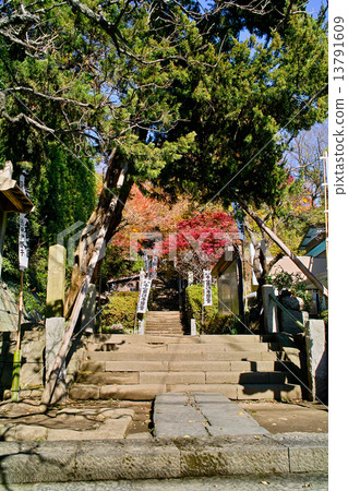 Entrance of Kamakura Sugimoto-ji seen from the Kamakura Route 13791609