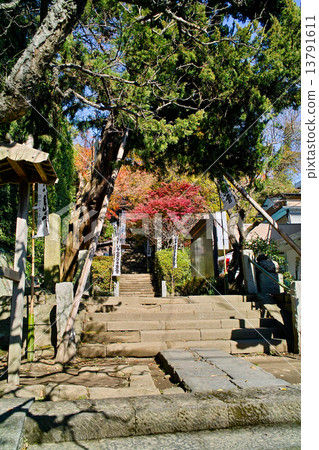 Entrance of Kamakura Sugimoto-ji seen from the Kamakura Route 13791611