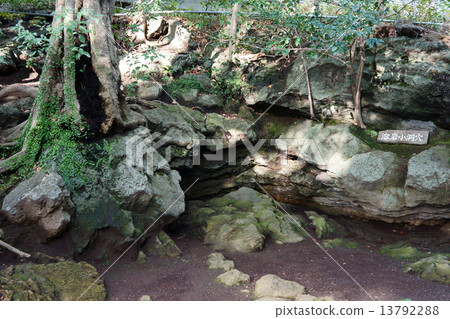 三島熔岩小洞穴 13792288